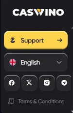 Caswino support button for player assistance
